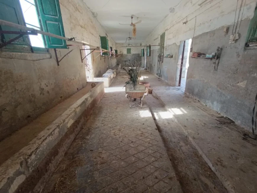 Unconverted Farmhouse with Large Outdoor Area in Marsaxlokk, Malta