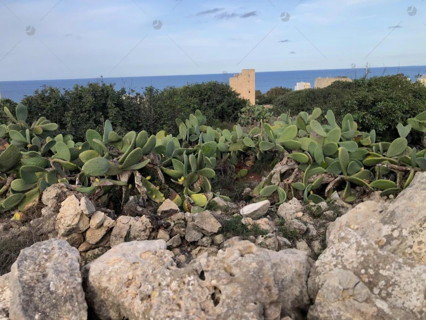 Prime Land for Sale in Xgħajra, Malta with Stunning Sea Views